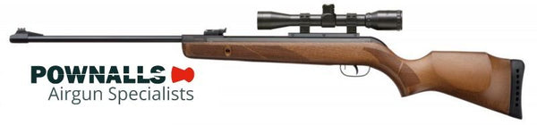 Gamo Hunter 440 .22 Air Rifle